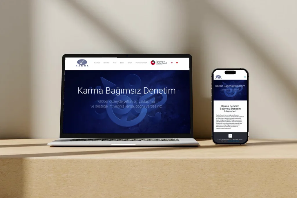 Karma Denetim web sitesi tasarımı
